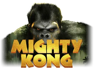 pp image